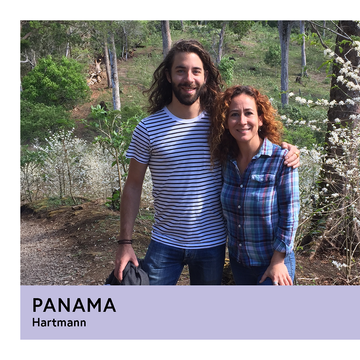 Panama | Hartmann | Yellow Maragogipe | Natural | Filter | 200g - Proud Mary Coffee Melbourne