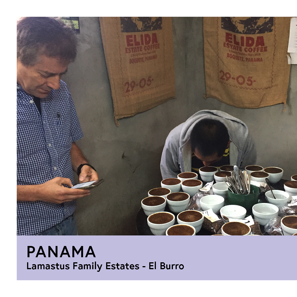 Panama | Lamastus Family Estates - El Burro | Geisha | Anaerobic Natural Slow Dry | Filter | 100g - Proud Mary Coffee Melbourne