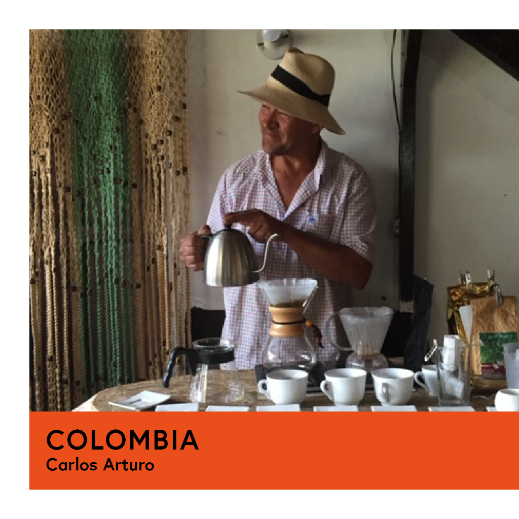 Colombia | Carlos Arturo | Typica | Natural | Filter | 250g - Proud Mary Coffee Melbourne