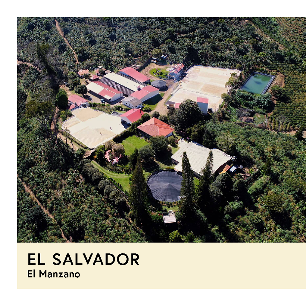 Photo of El Salvador | El Manzano | Pacamara | Washed | Espresso | 250g