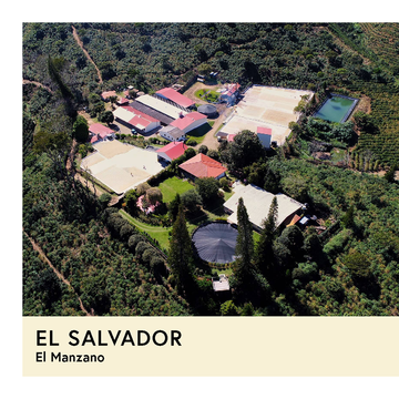 El Salvador | El Manzano | Pacamara | Washed | Filter | 250g - Proud Mary Coffee Melbourne