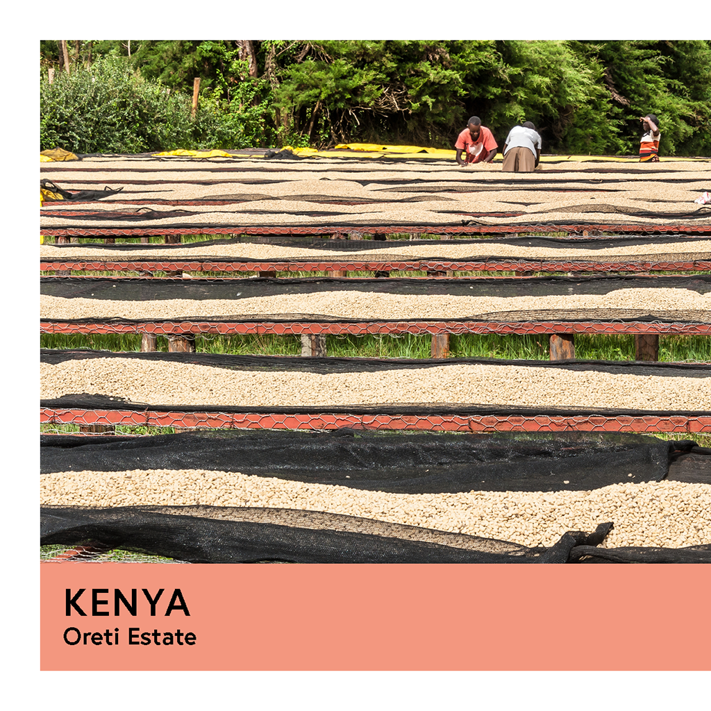 Kenya | Oreti Estate | SL28 & SL14 | Washed | Filter | 200g - Proud Mary Coffee Melbourne