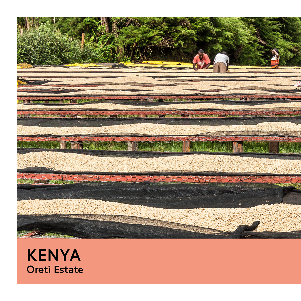 Kenya | Oreti Estate | SL28 & SL14 | Washed | Espresso | 200g - Proud Mary Coffee Melbourne