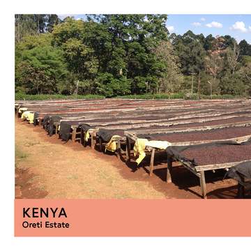 Kenya | Oreti Estate | SL28 & SL14 | Natural | Espresso | 200g - Proud Mary Coffee Melbourne