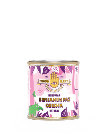 Honduras | Benjamin Paz | Geisha | Natural | Filter | 100g