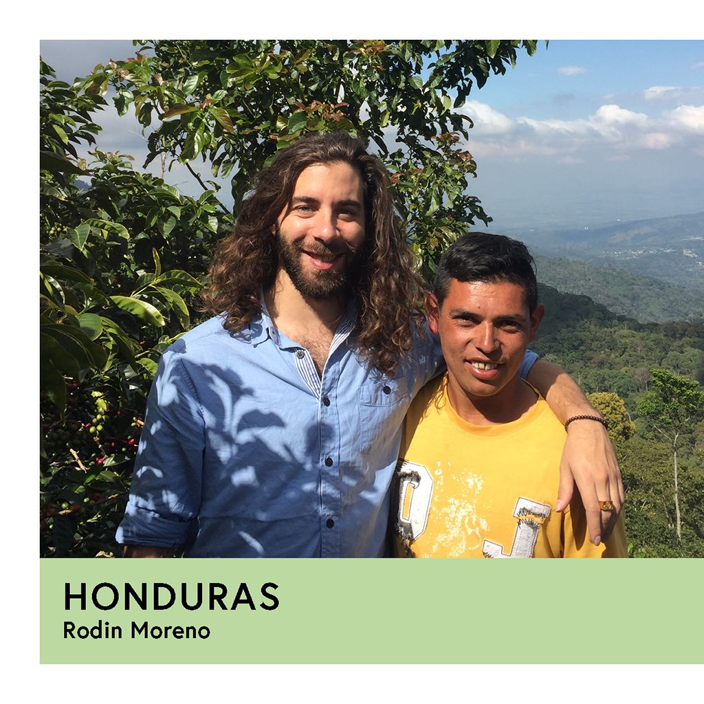 Photo of Honduras | Rodin Moreno | Pacas | Anaerobic Washed 48hr | Filter | 250g